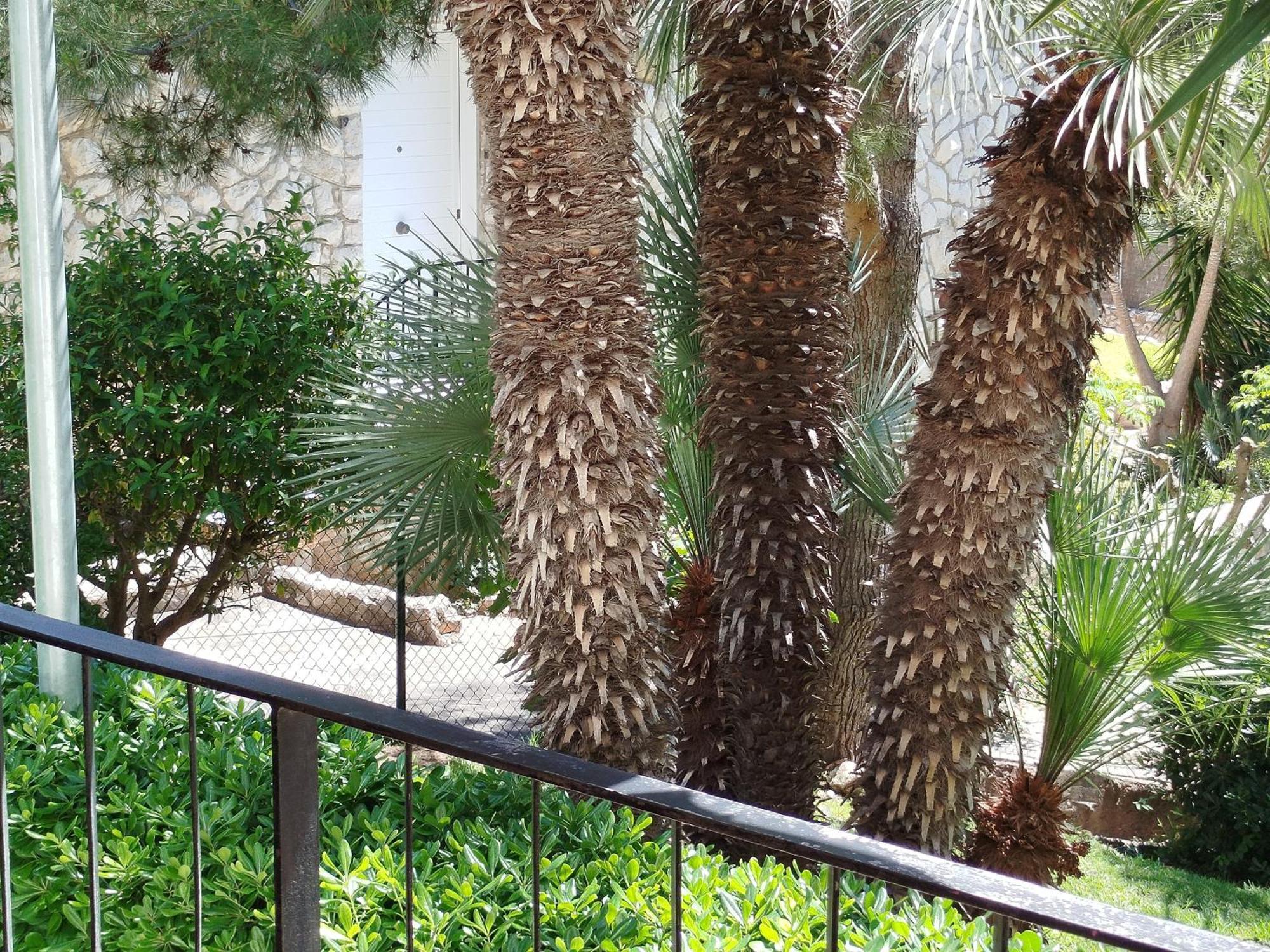 Ferienwohnung Brisa Del Mar Salou Exterior foto